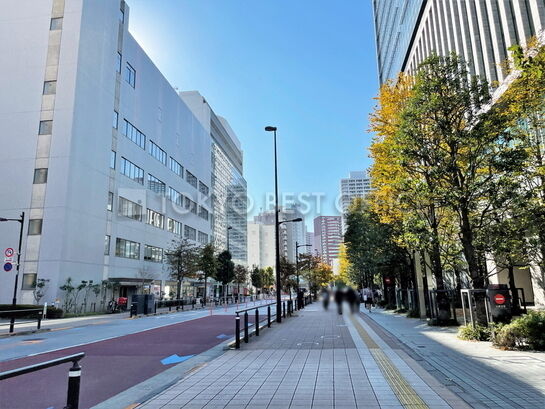 msb Tamachi 田町ステーションタワーS | 賃貸オフィス・貸事務所- 東京ベストオフィス TOKYO BEST OFFICE